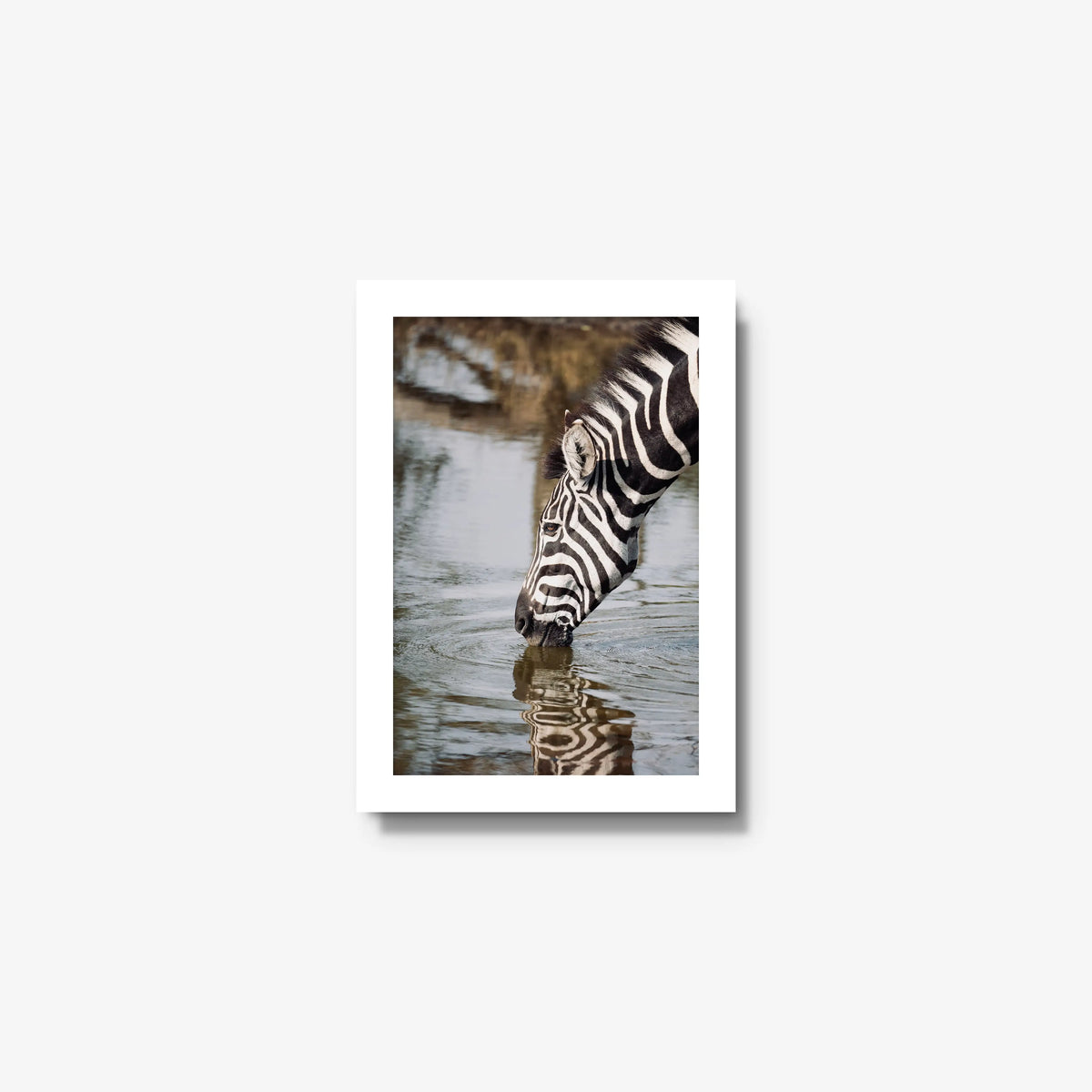 Convergence — mini / white / full