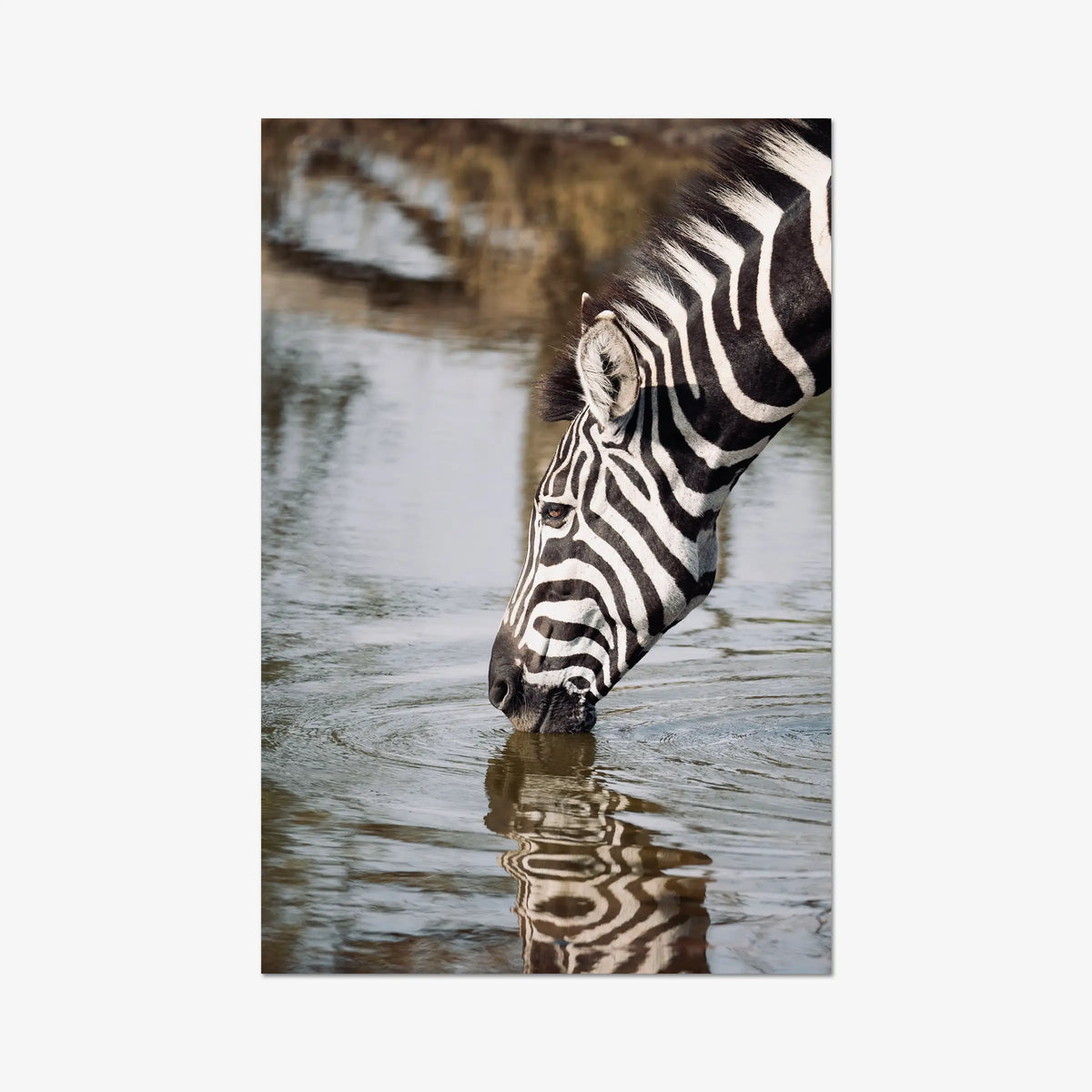 Convergence — gallery / print / n/a
