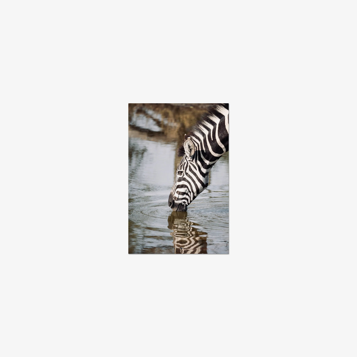 Convergence — mini / print / n/a