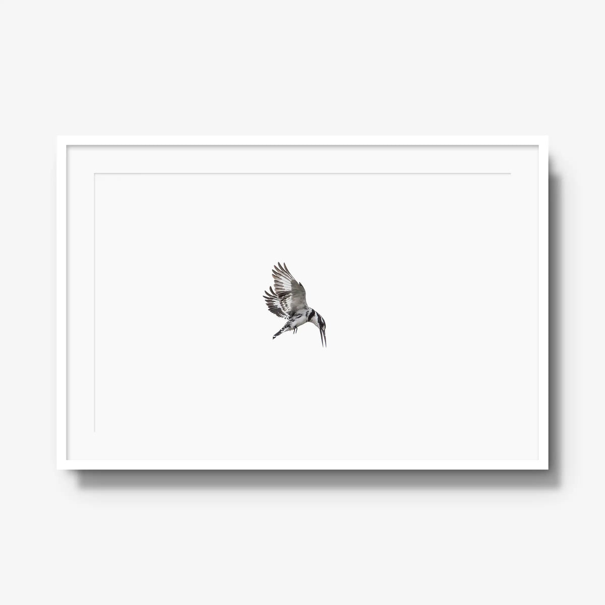Arrow — gallery / white / mat