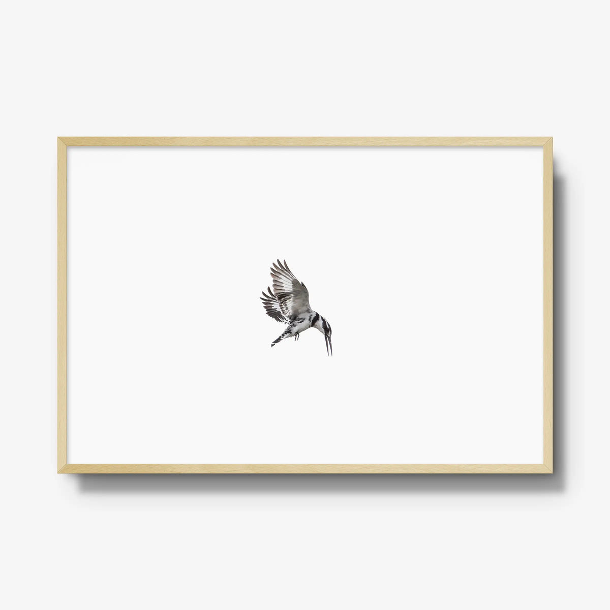 Arrow — gallery / natural / full