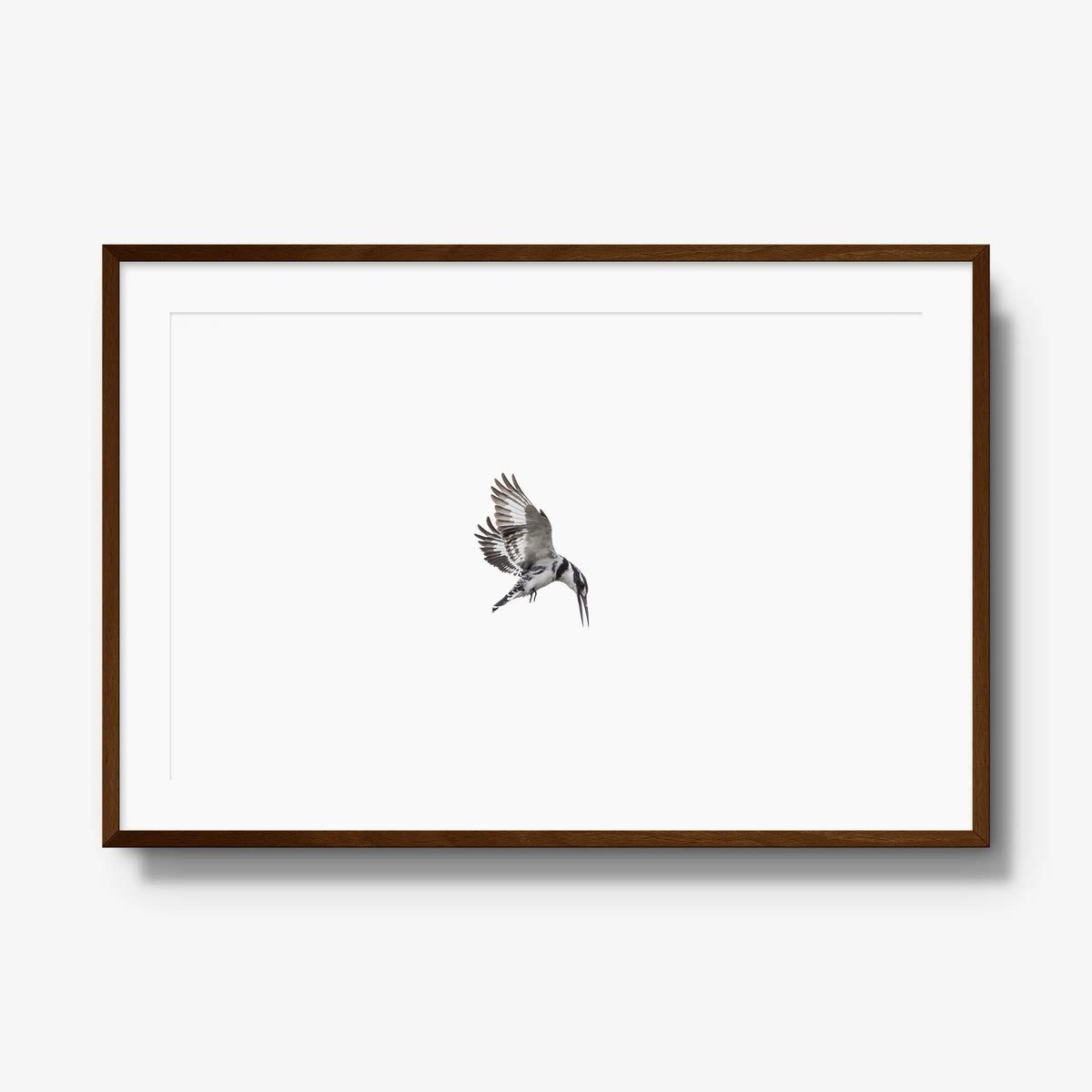 Arrow — gallery / brown / mat