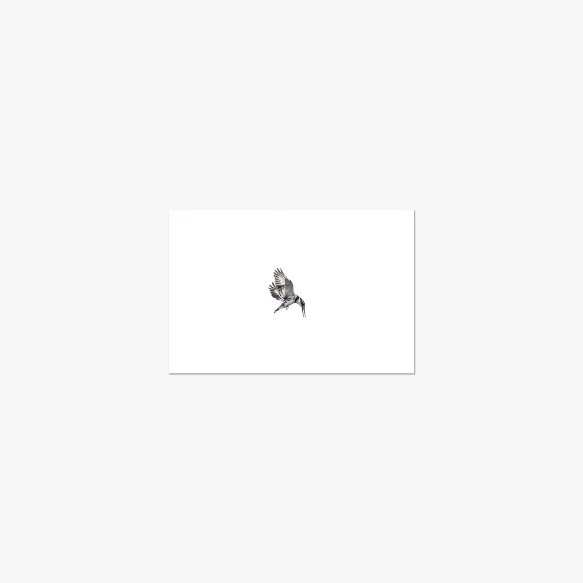 Arrow — mini / print / n/a