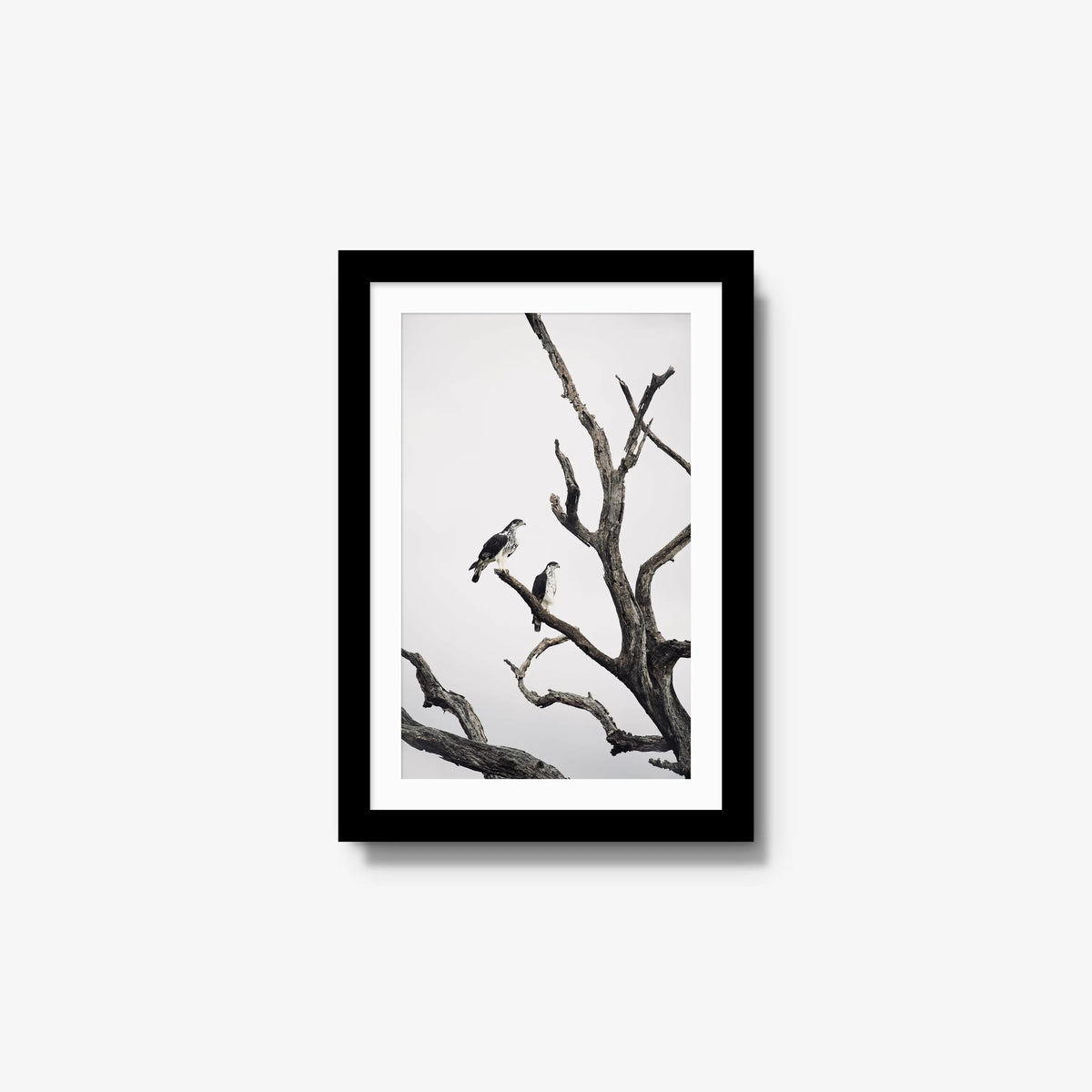 Sentinels — small / black / mat