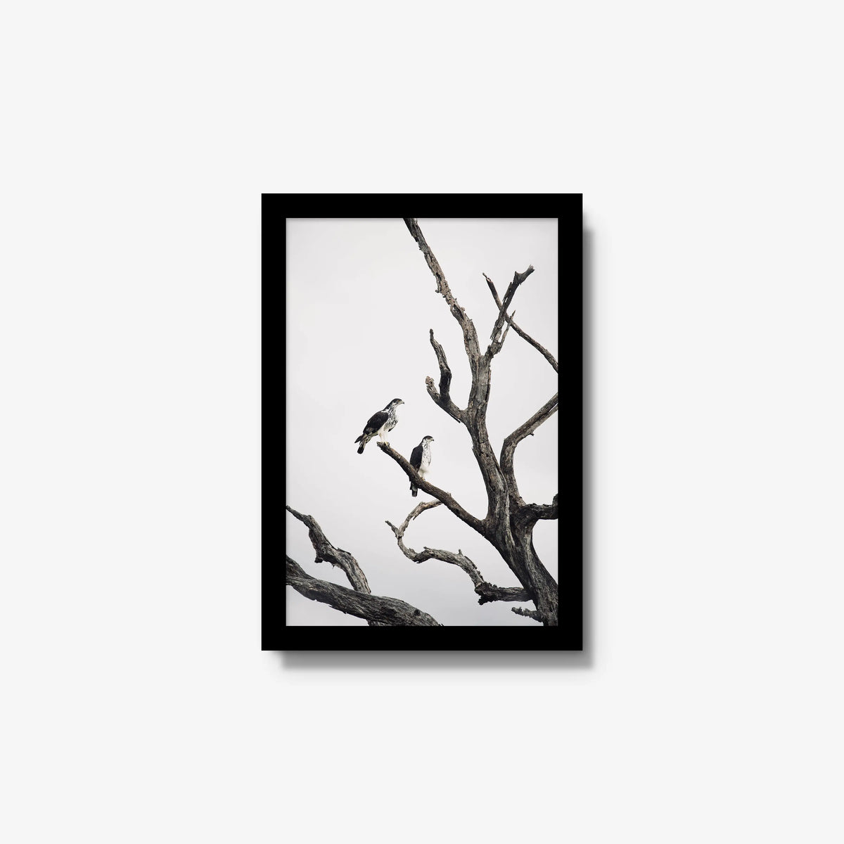 Sentinels — small / black / full