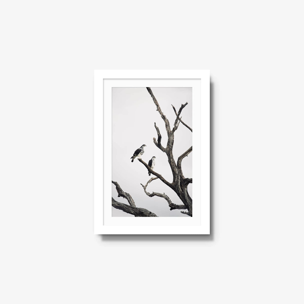 Sentinels — small / white / mat