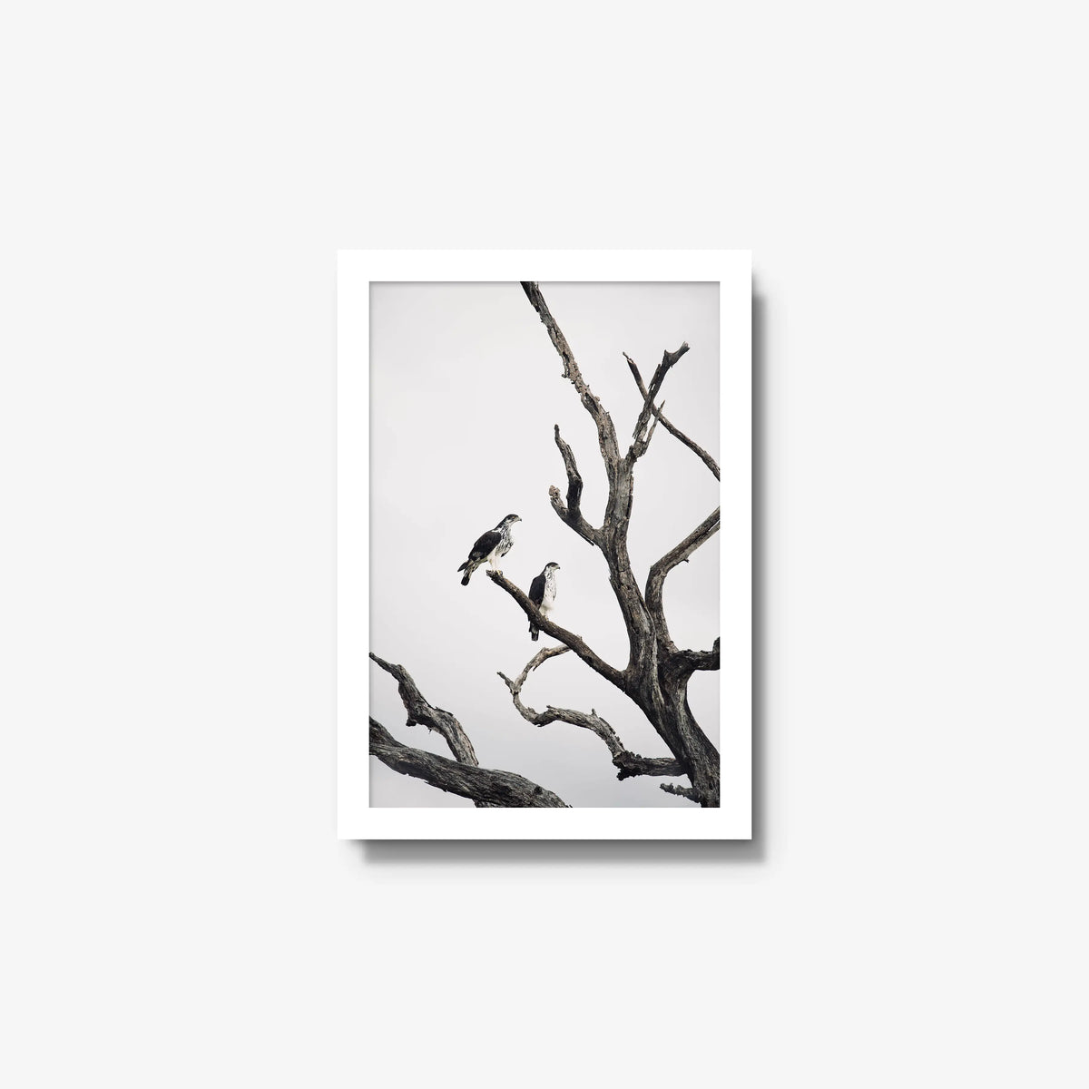 Sentinels — small / white / full