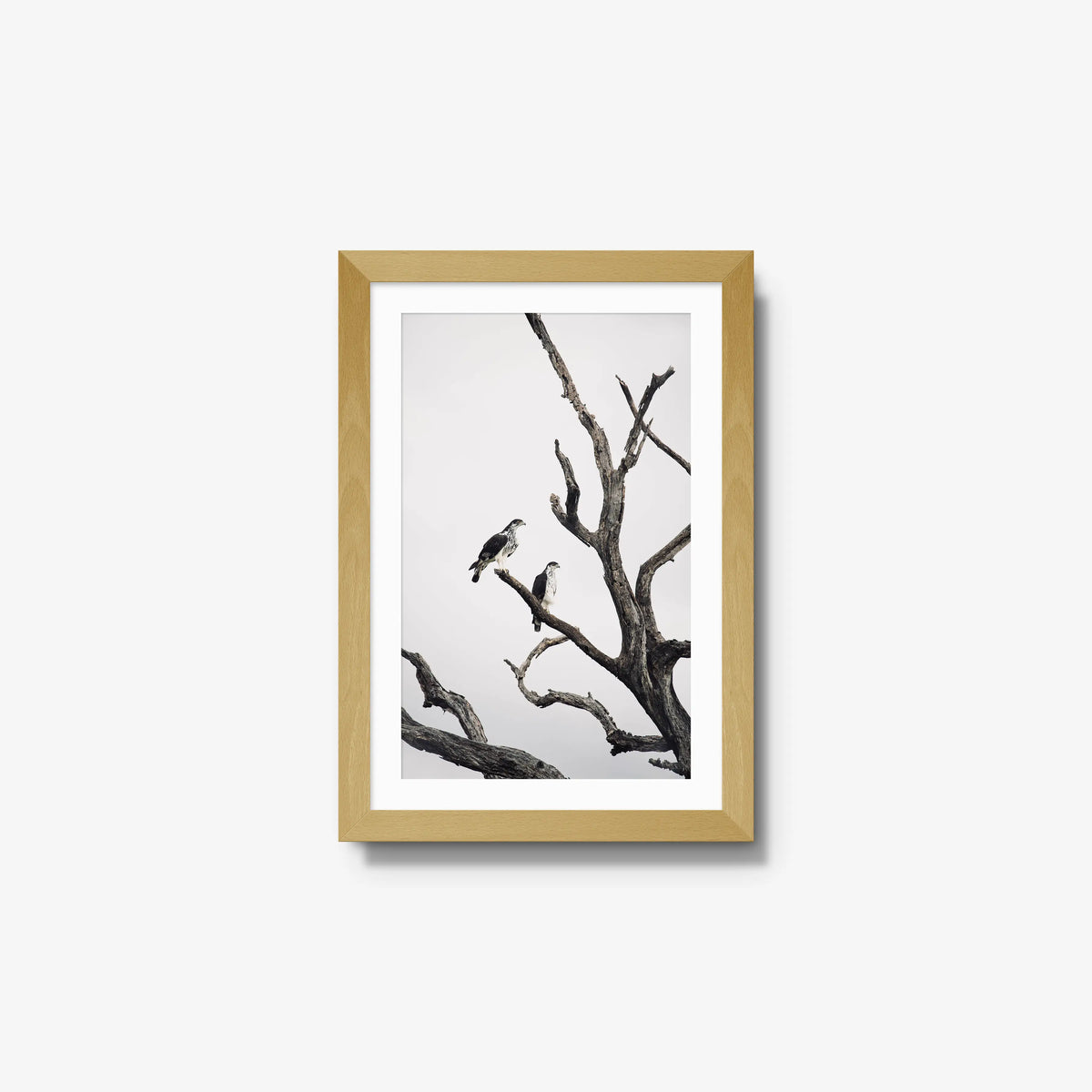 Sentinels — small / natural / mat