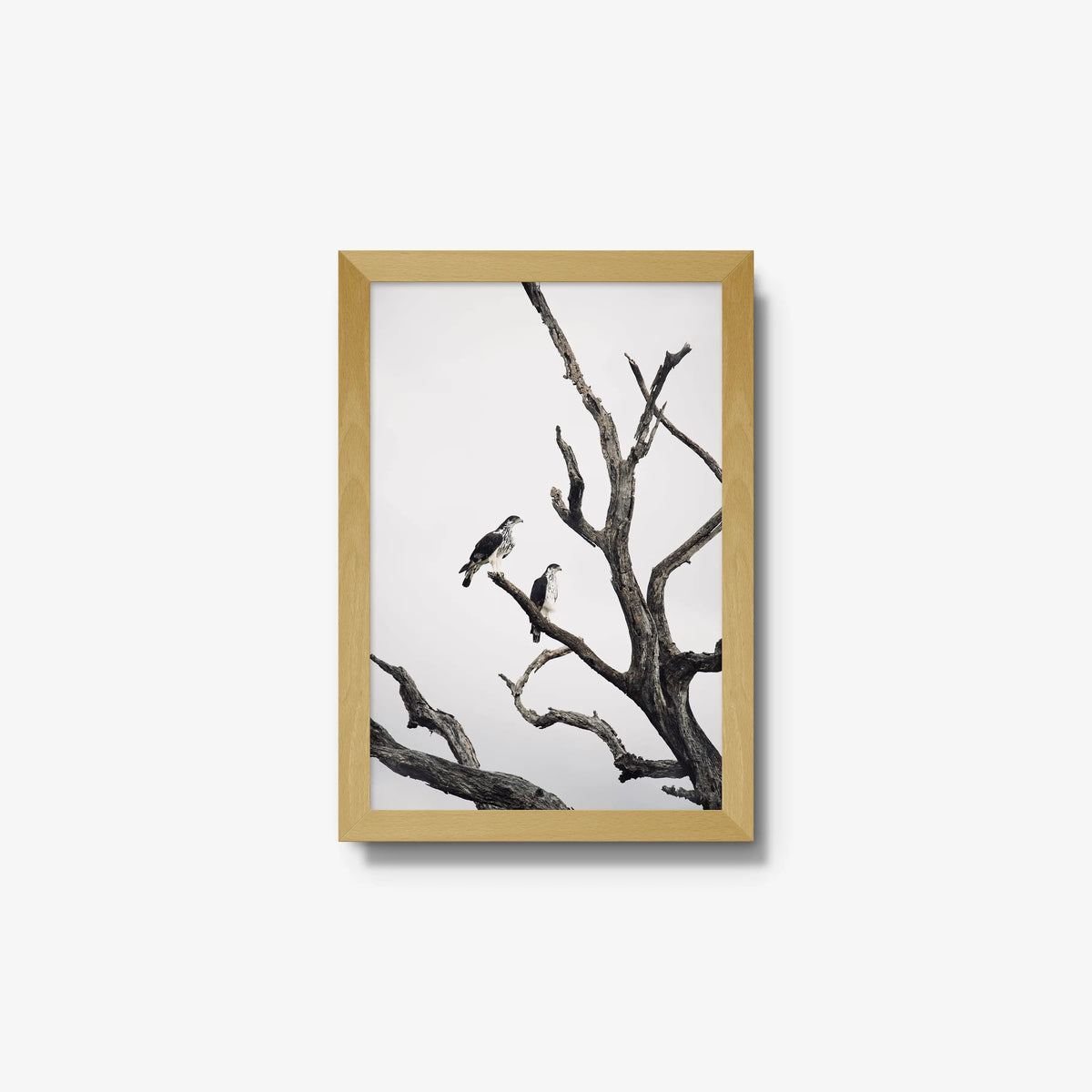 Sentinels — small / natural / full