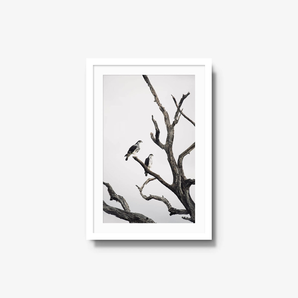 Sentinels — medium / white / mat