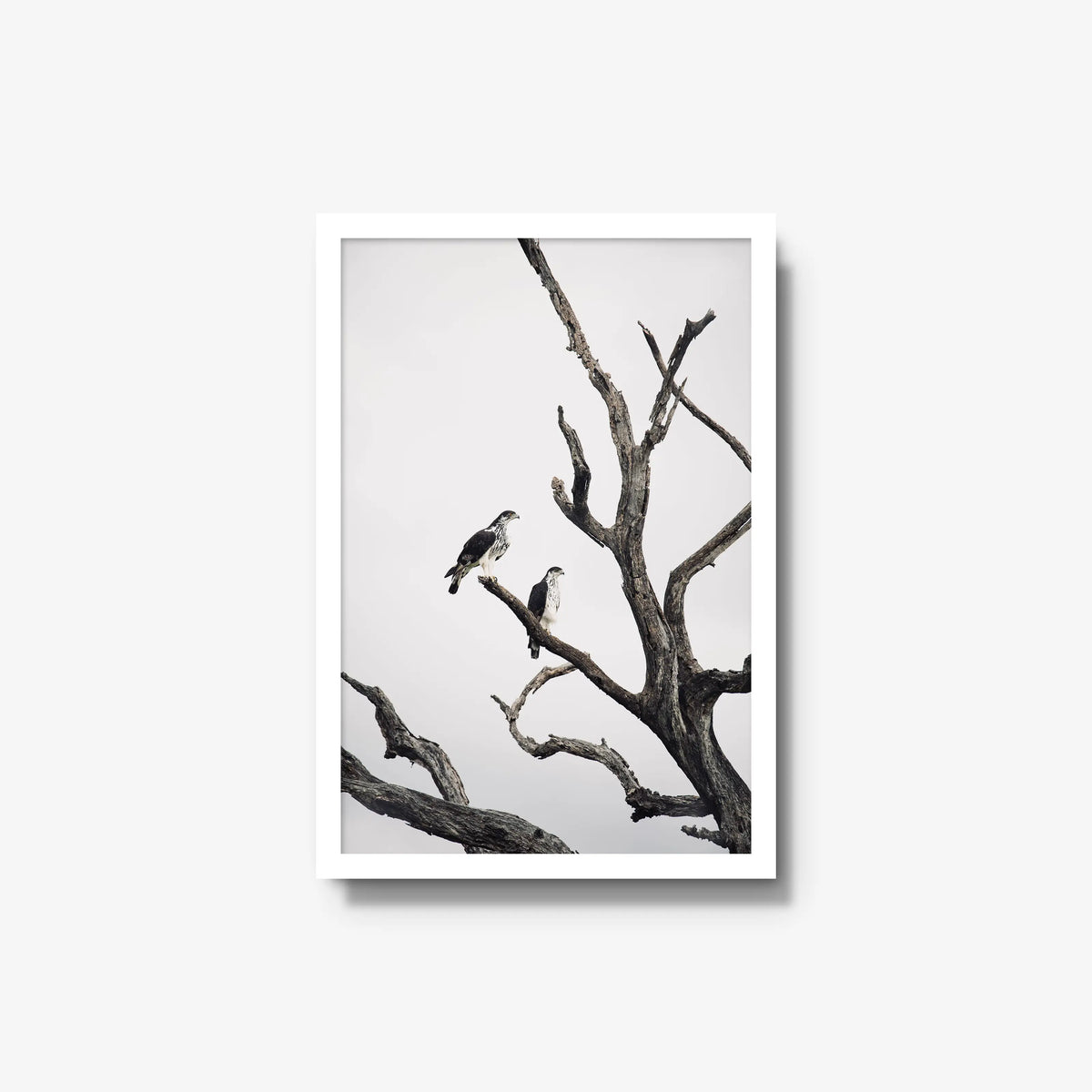Sentinels — medium / white / full
