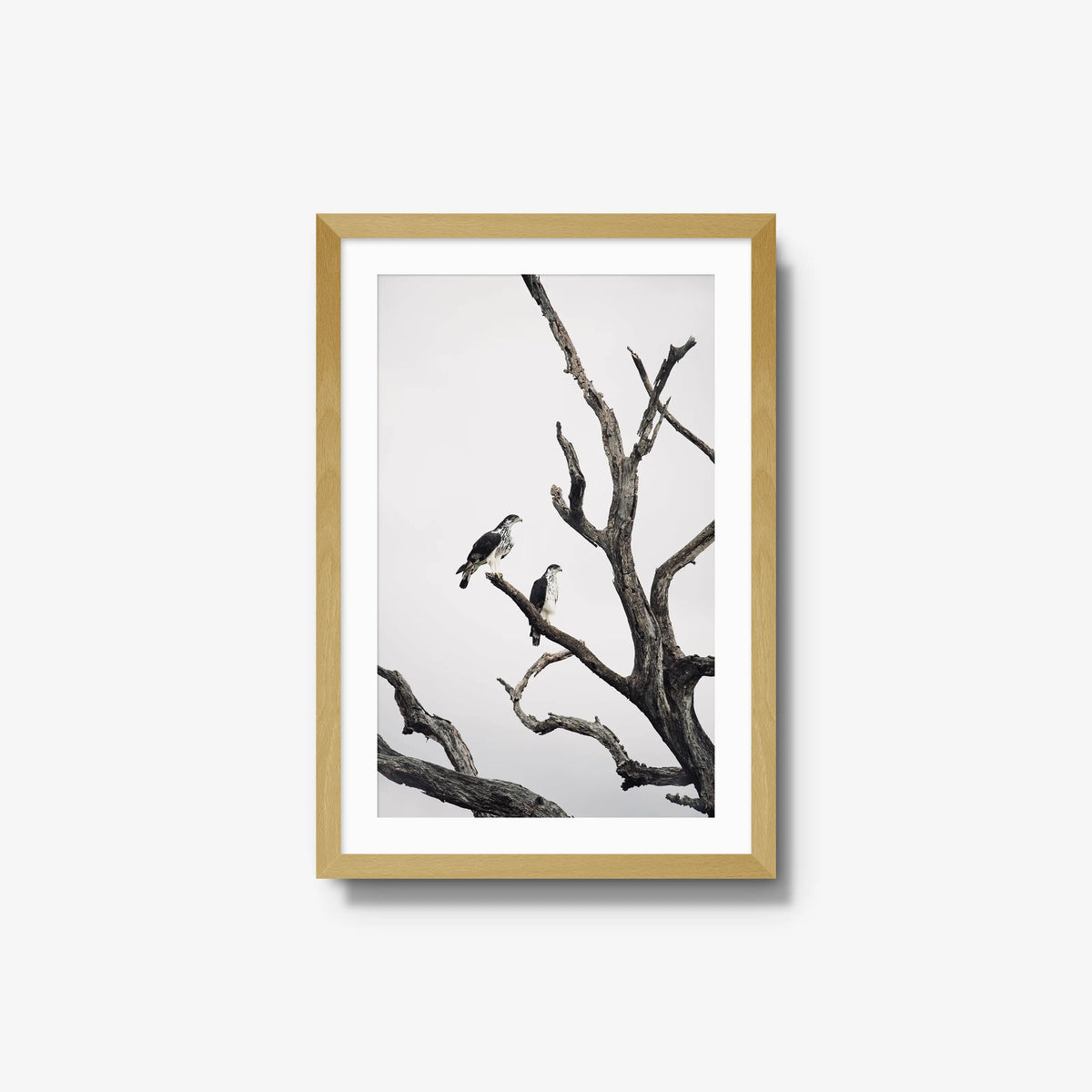 Sentinels — medium / natural / mat