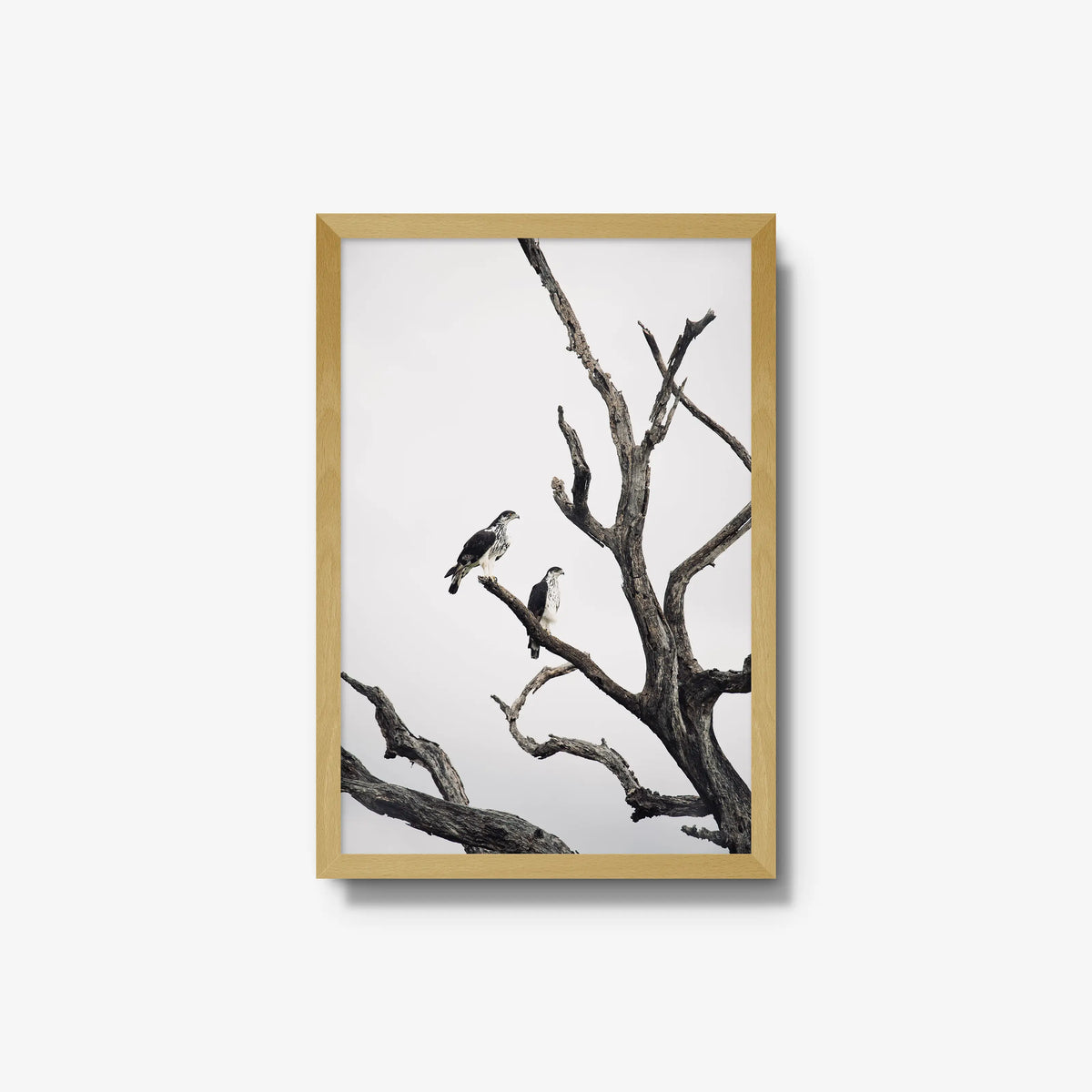 Sentinels — medium / natural / full