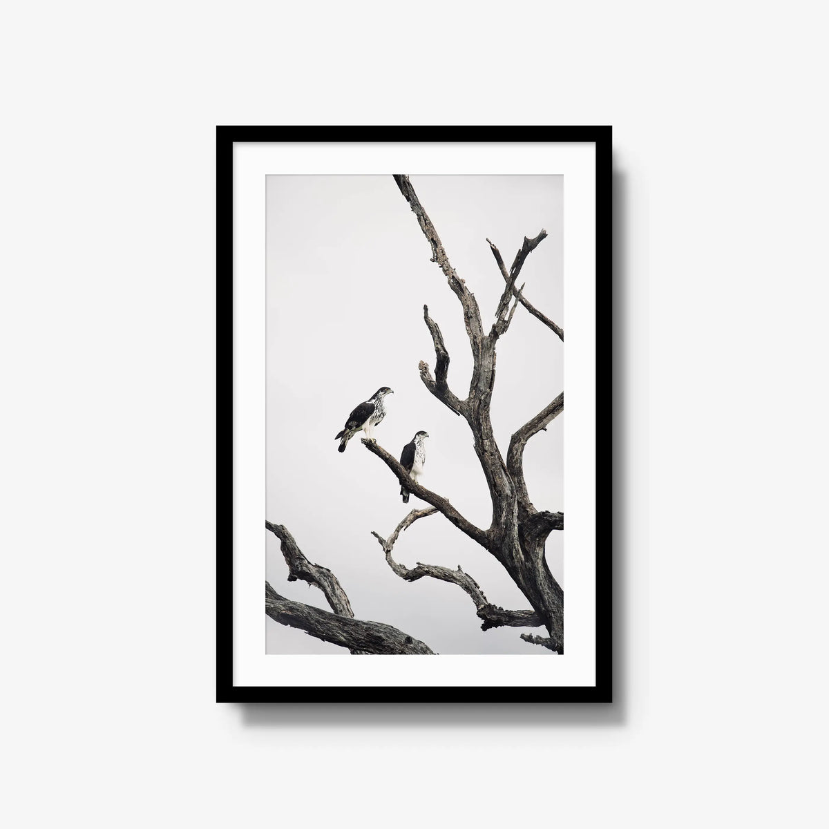 Sentinels — large / black / mat