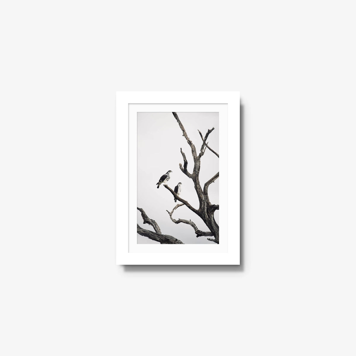 Sentinels — mini / white / mat