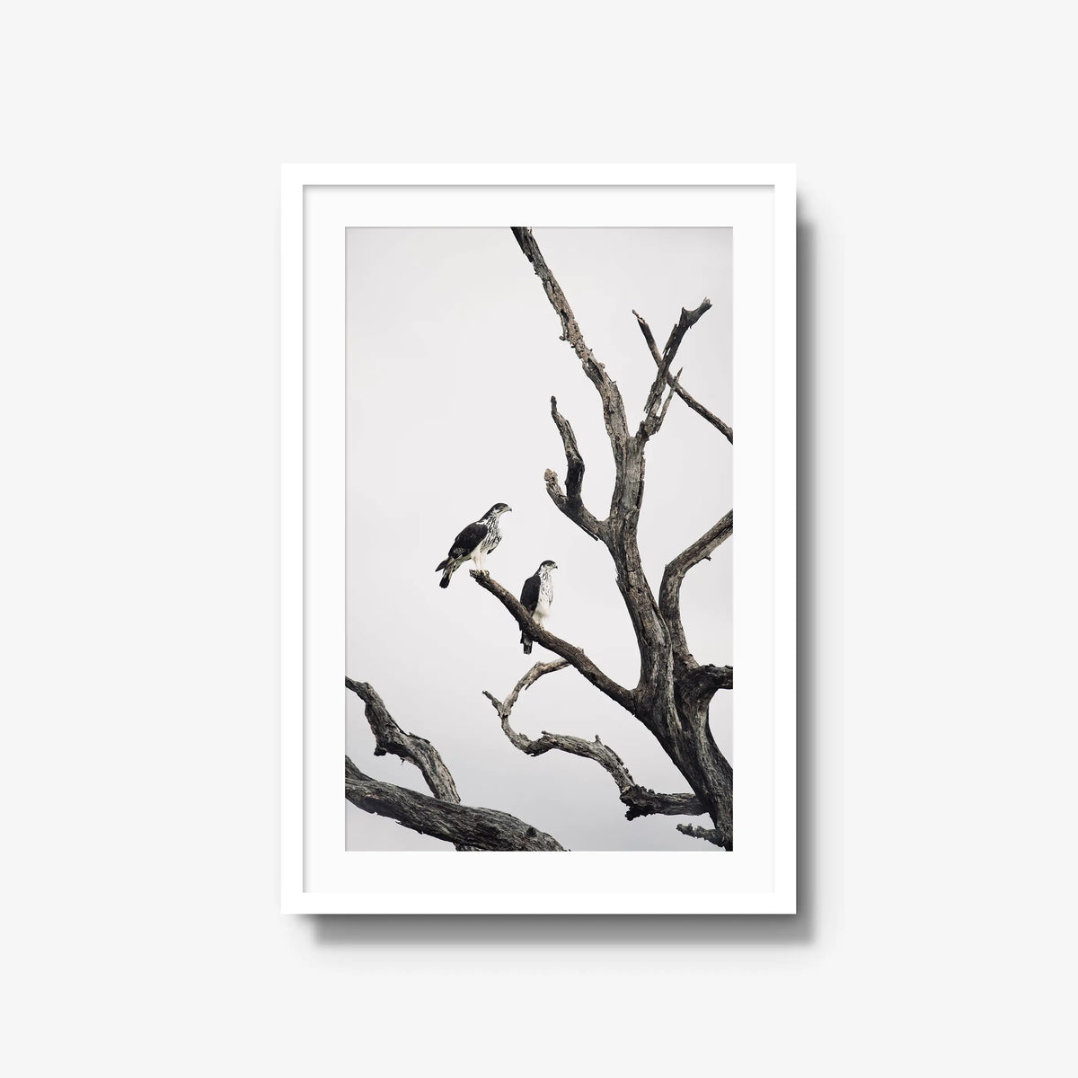 Sentinels — large / white / mat