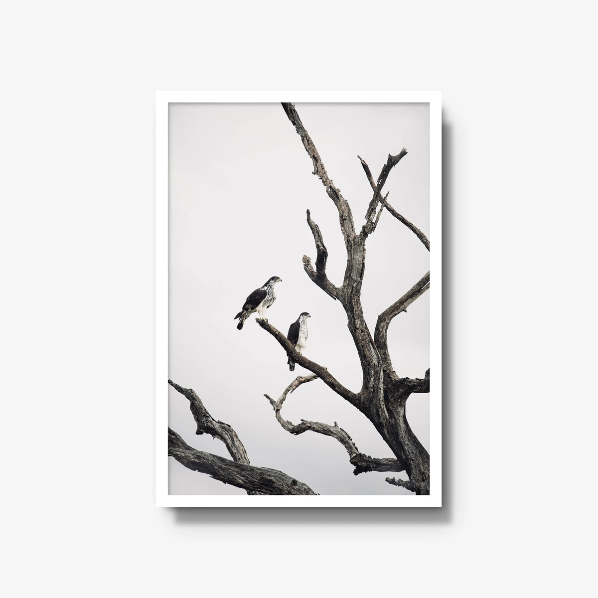 Sentinels — large / white / full