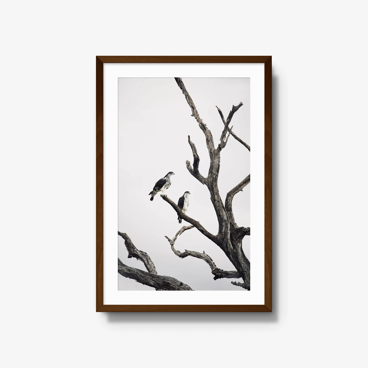 Sentinels — large / brown / mat