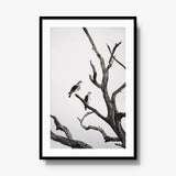 Sentinels — gallery / black / mat