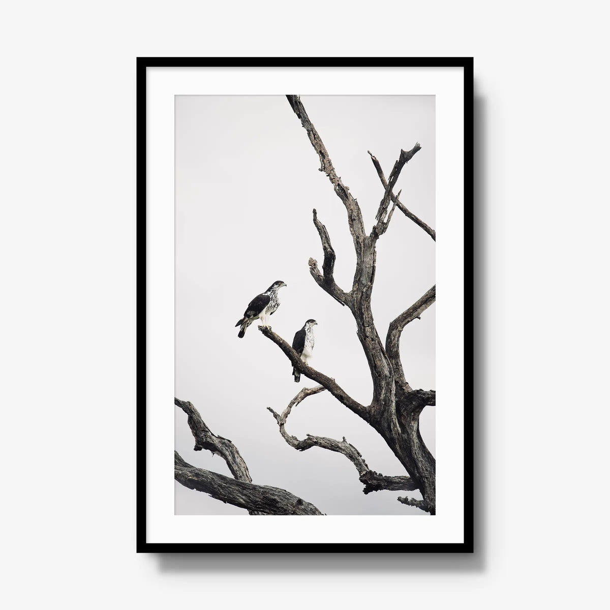 Sentinels — gallery / black / mat