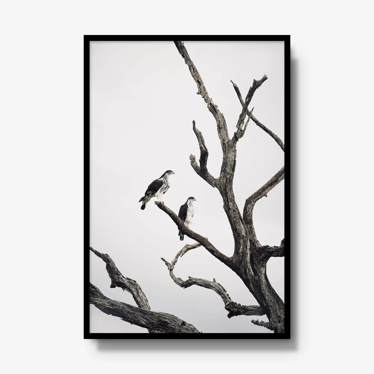 Sentinels — gallery / black / full