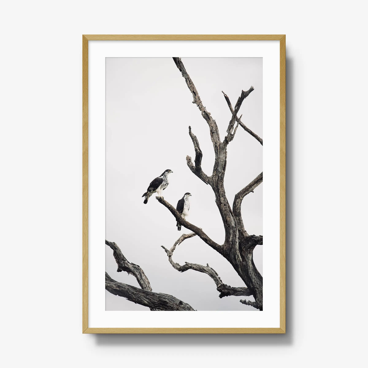 Sentinels — gallery / natural / mat
