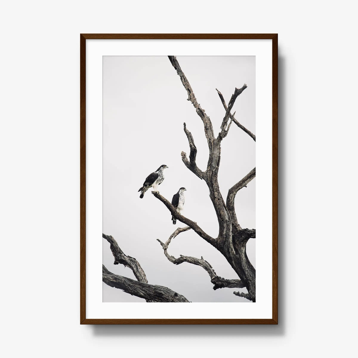Sentinels — gallery / brown / mat