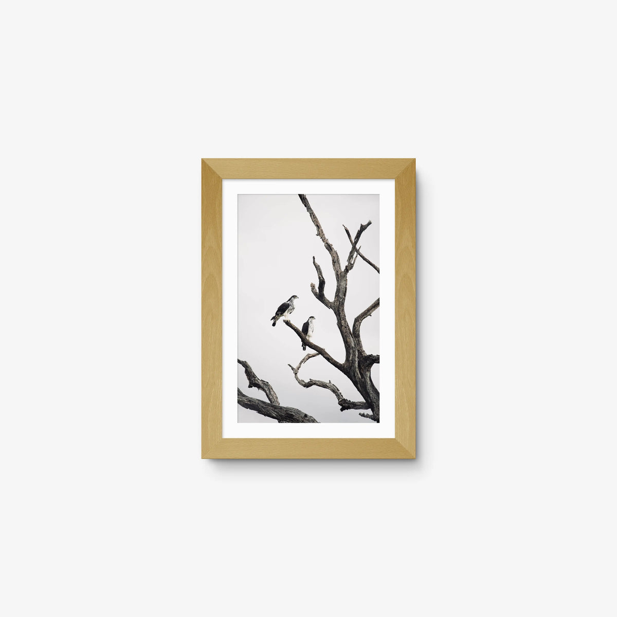 Sentinels — mini / natural / mat