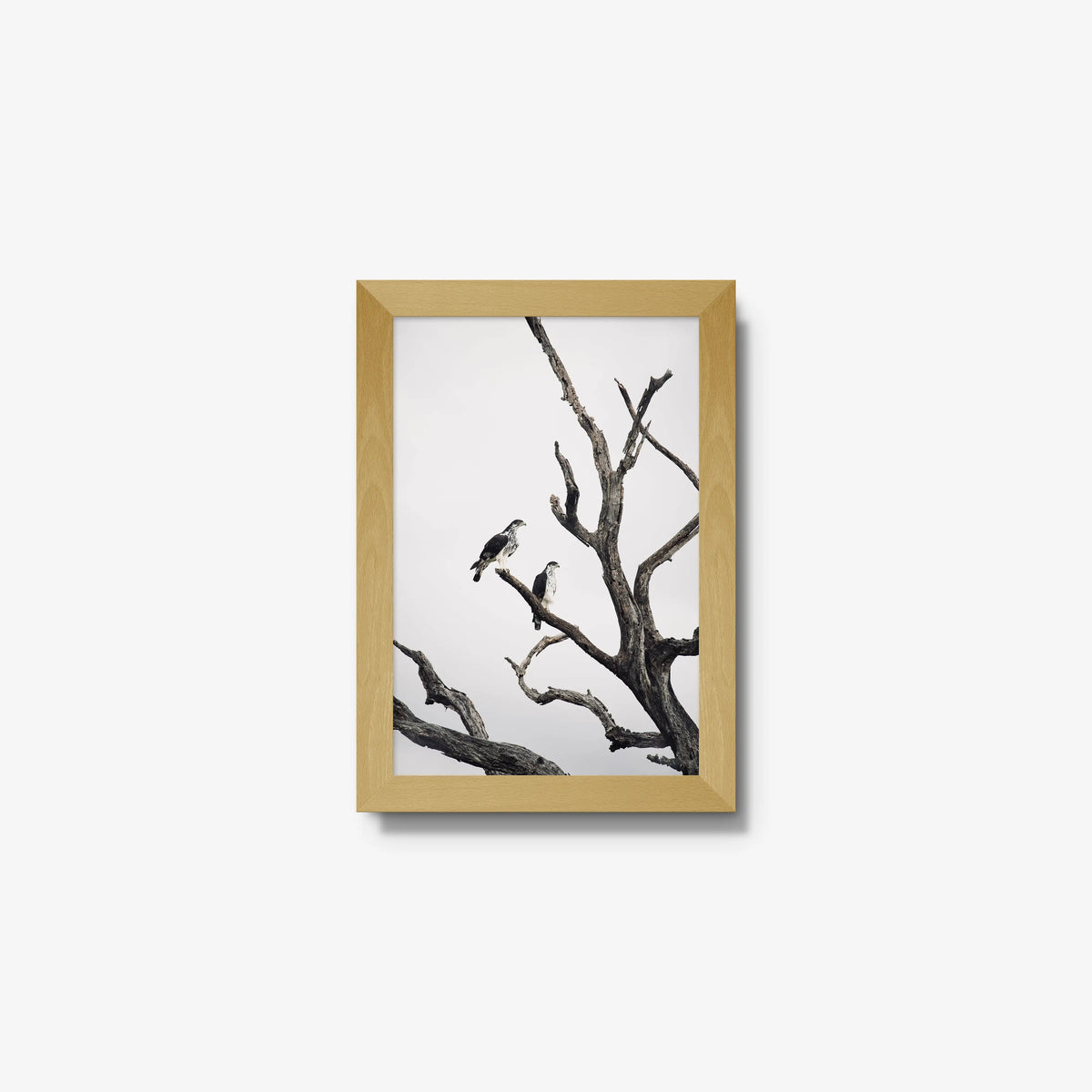 Sentinels — mini / natural / full
