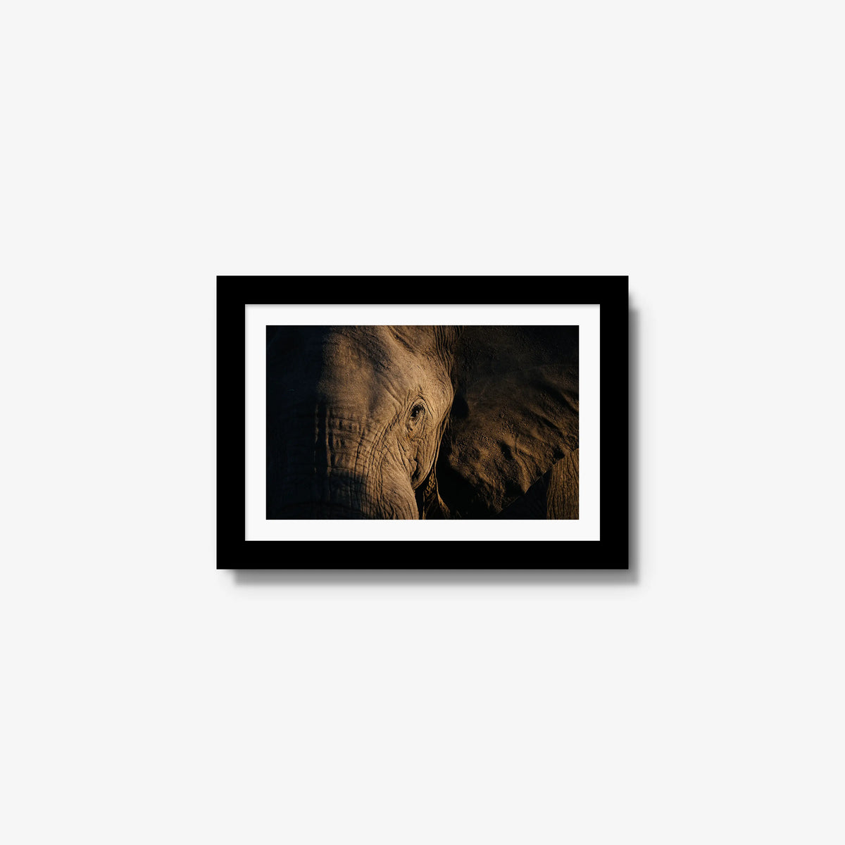 Etched — mini / black / mat