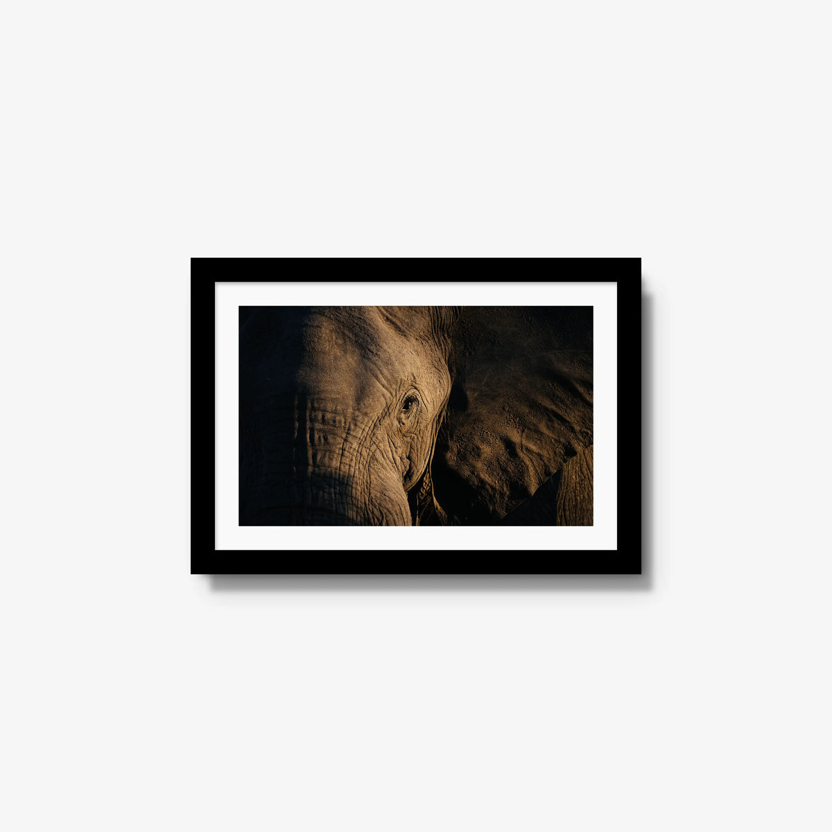 Etched — small / black / mat