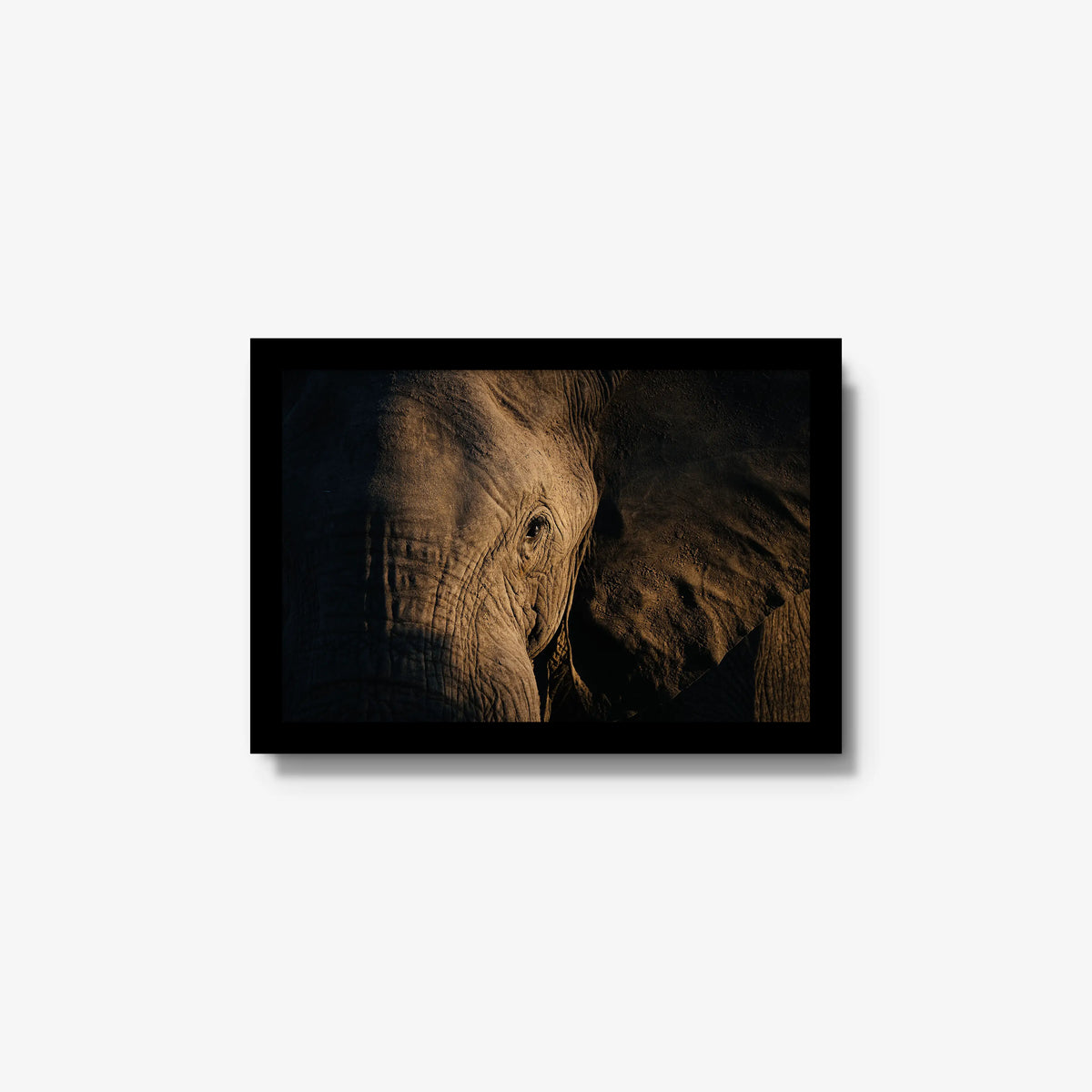 Etched — small / black / full