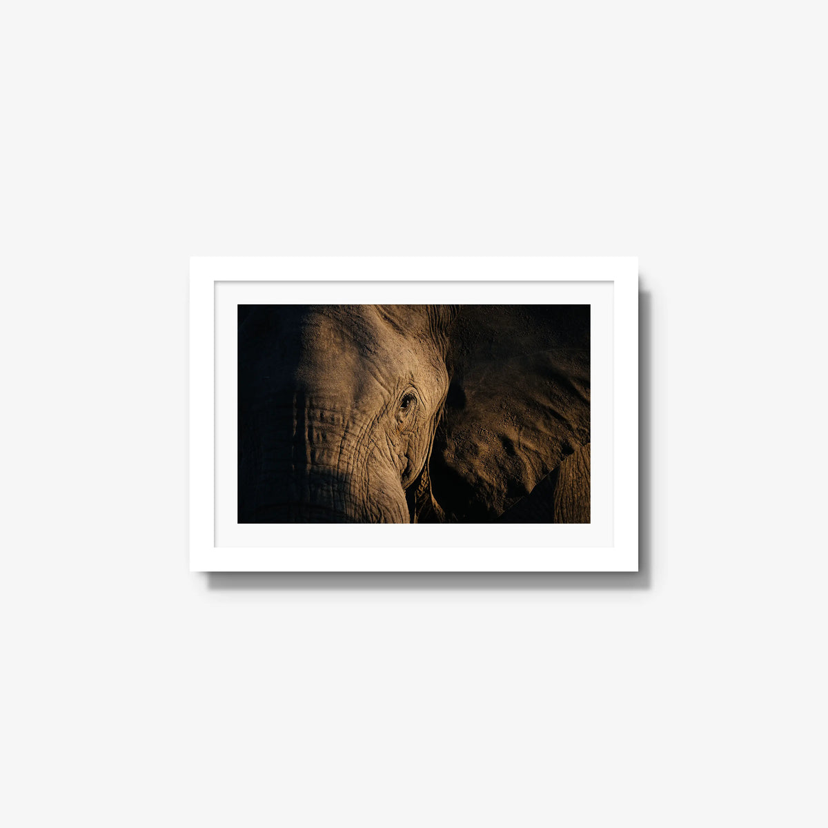 Etched — small / white / mat