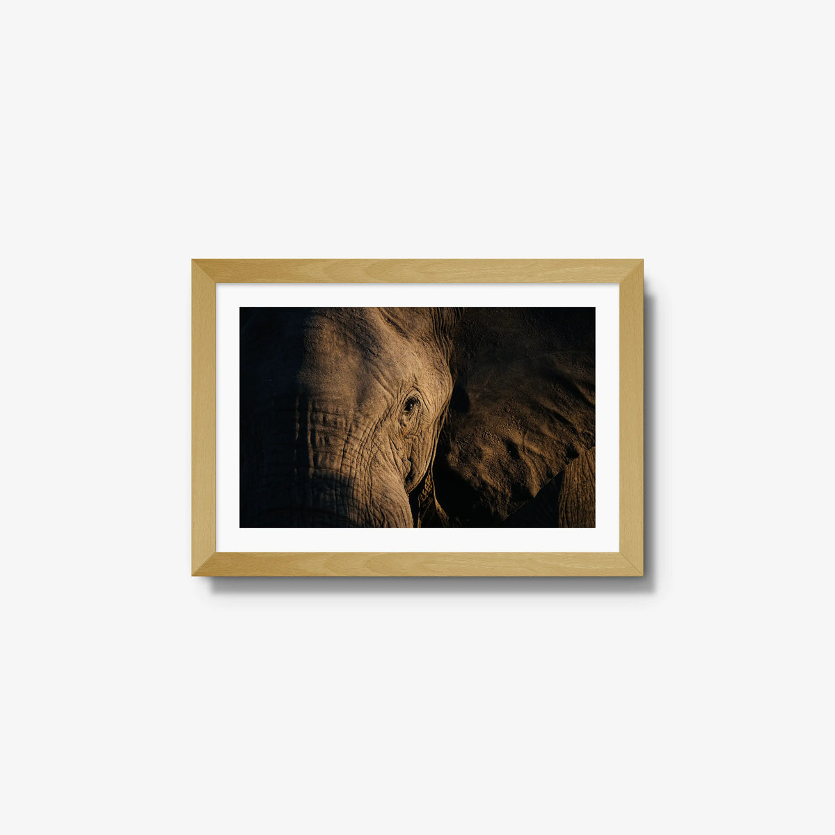 Etched — small / natural / mat