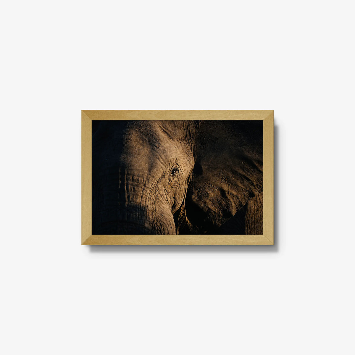 Etched — small / natural / full
