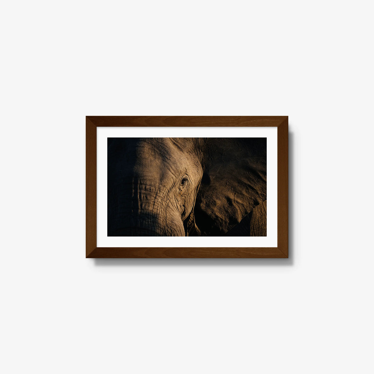 Etched — small / brown / mat