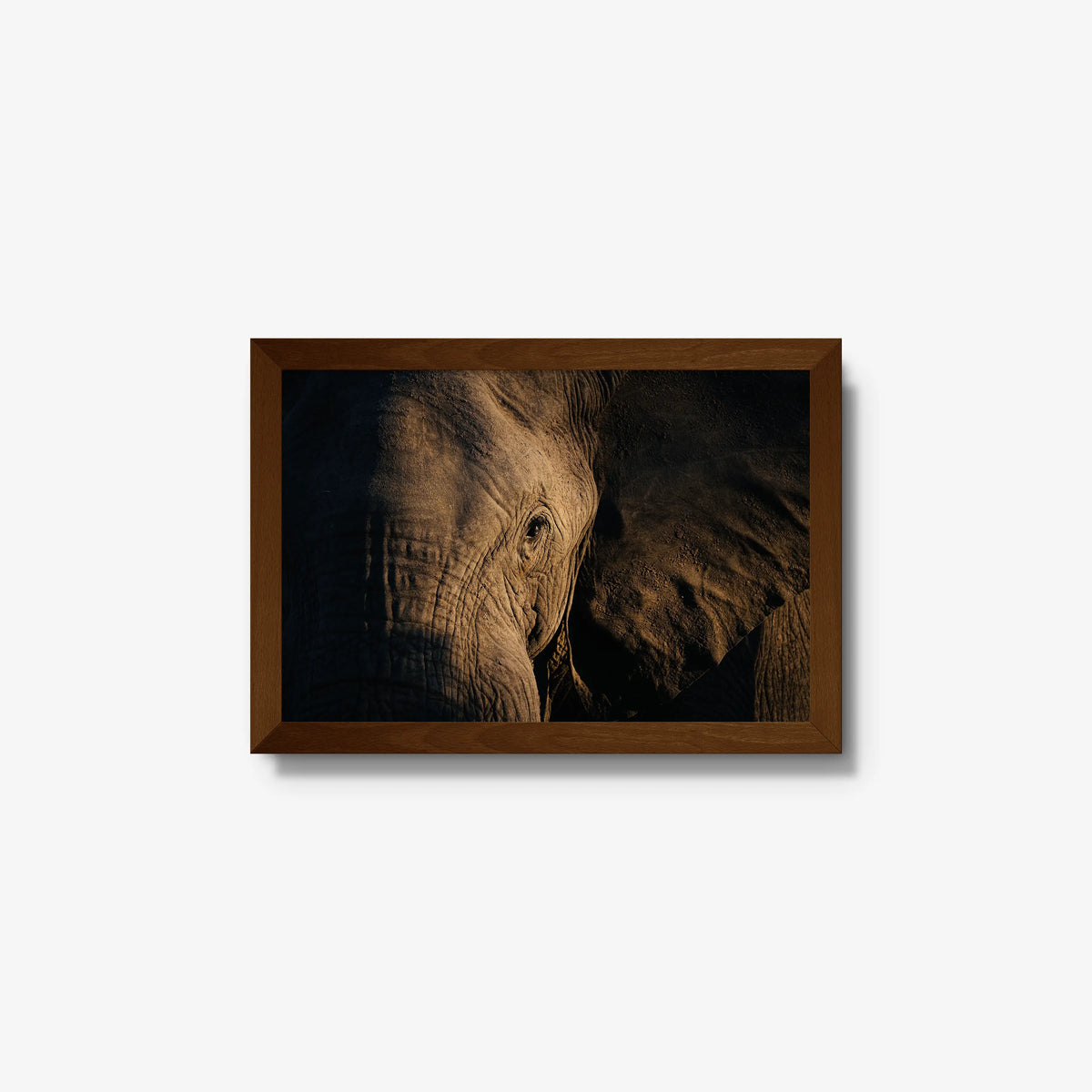 Etched — small / brown / full
