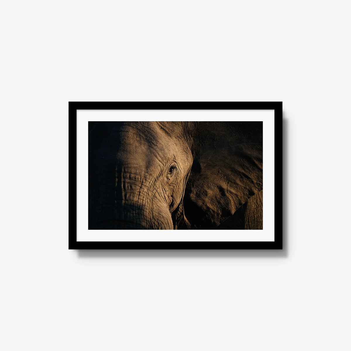 Etched — medium / black / mat