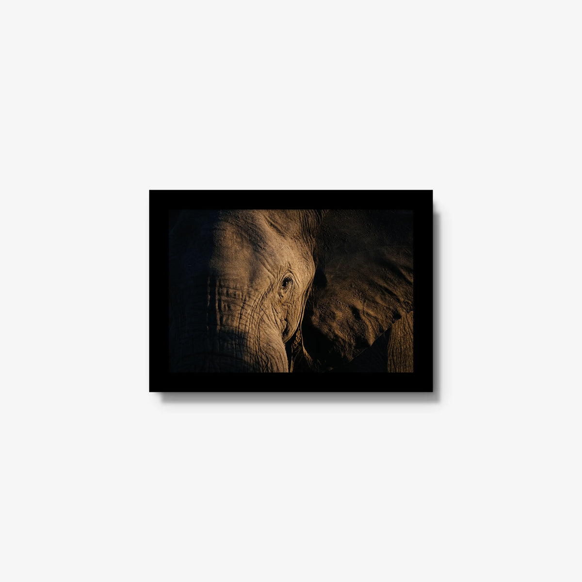 Etched — mini / black / full