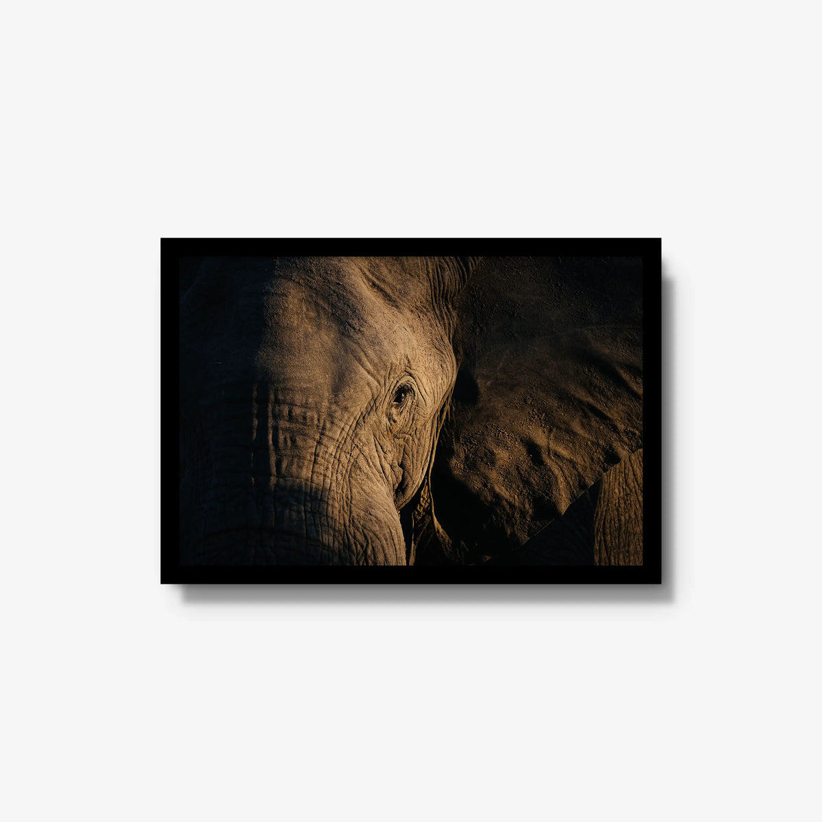 Etched — medium / black / full
