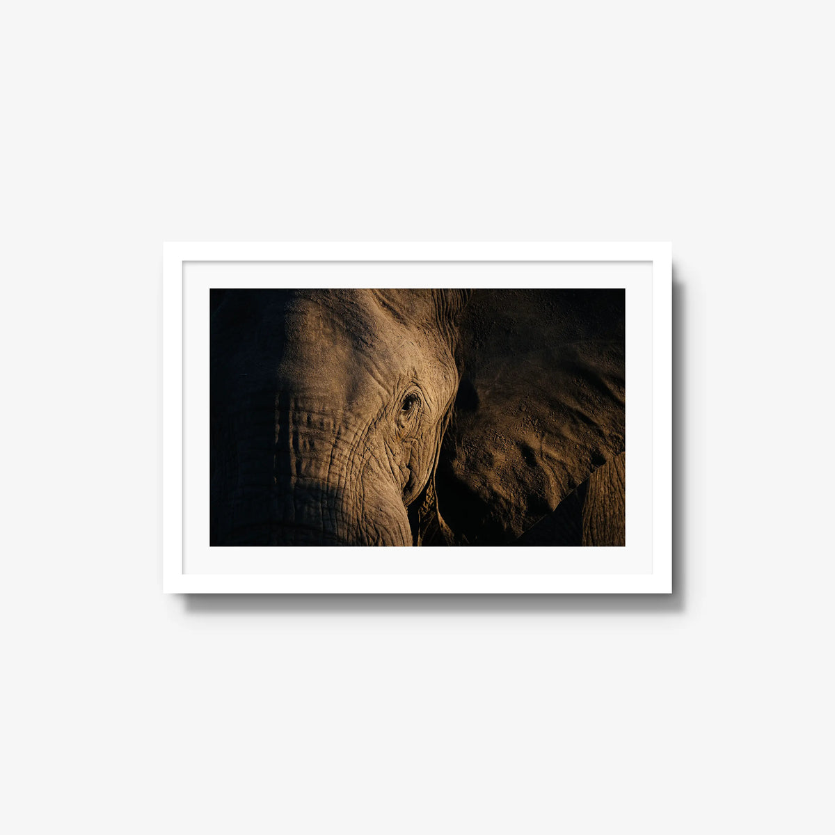 Etched — medium / white / mat