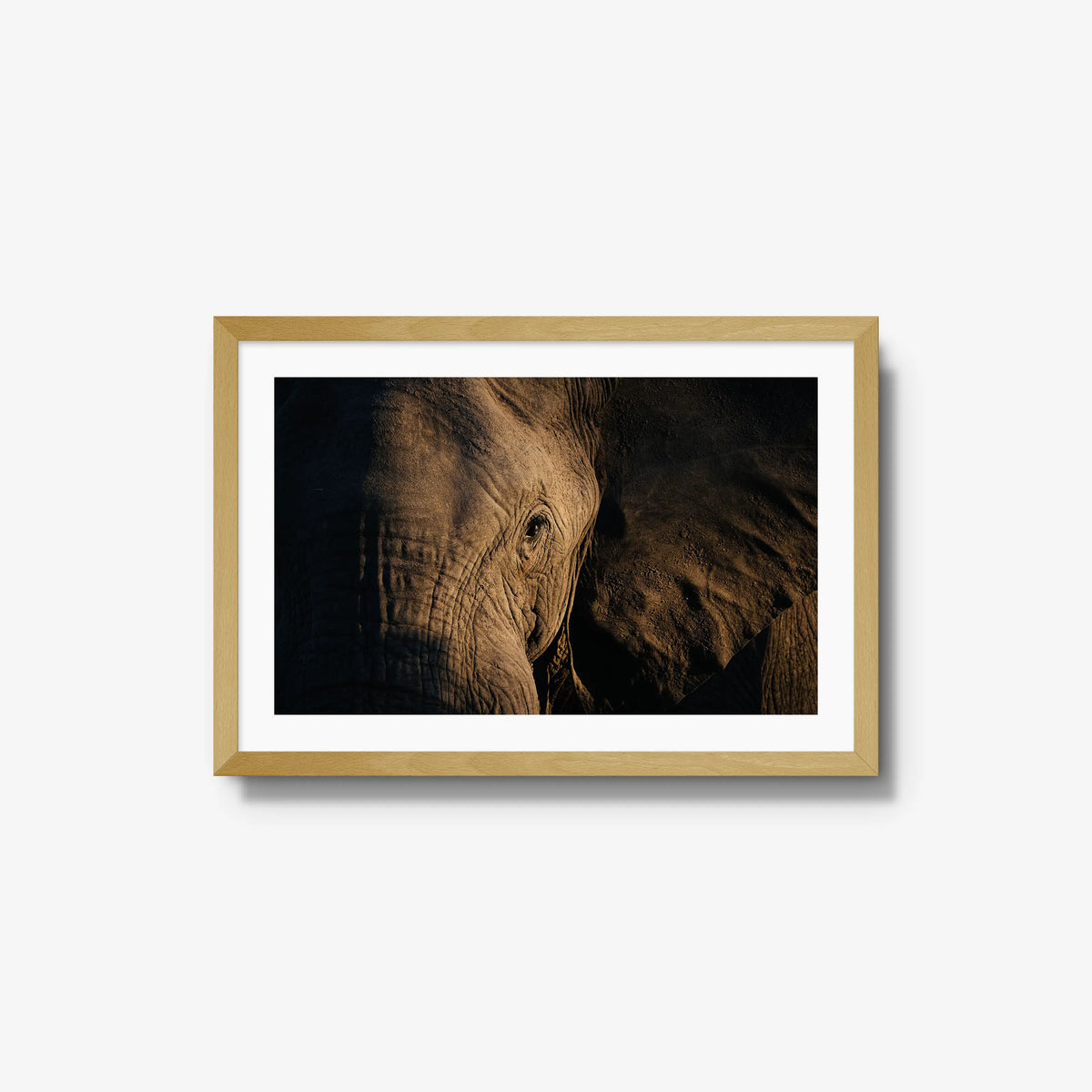 Etched — medium / natural / mat