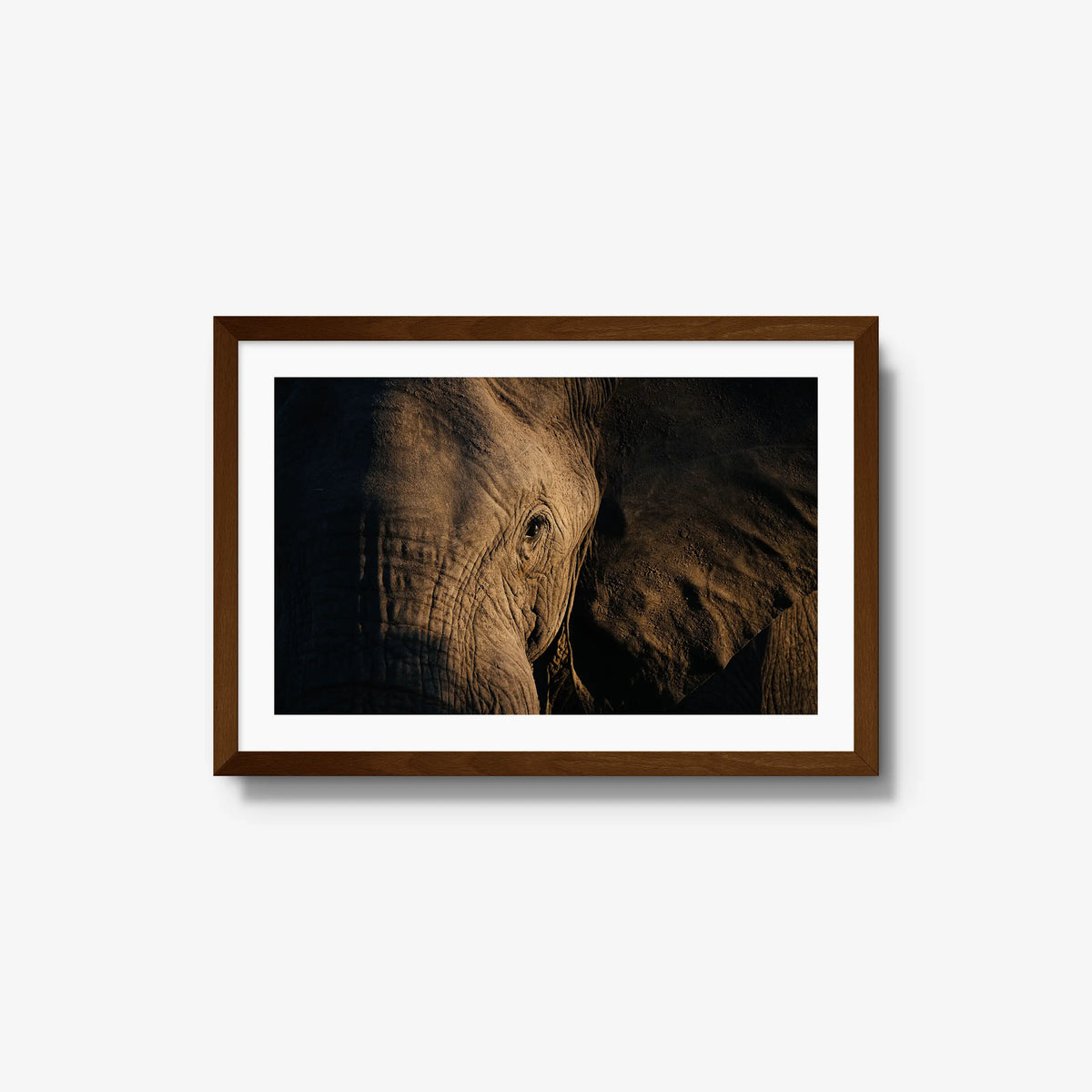 Etched — medium / brown / mat