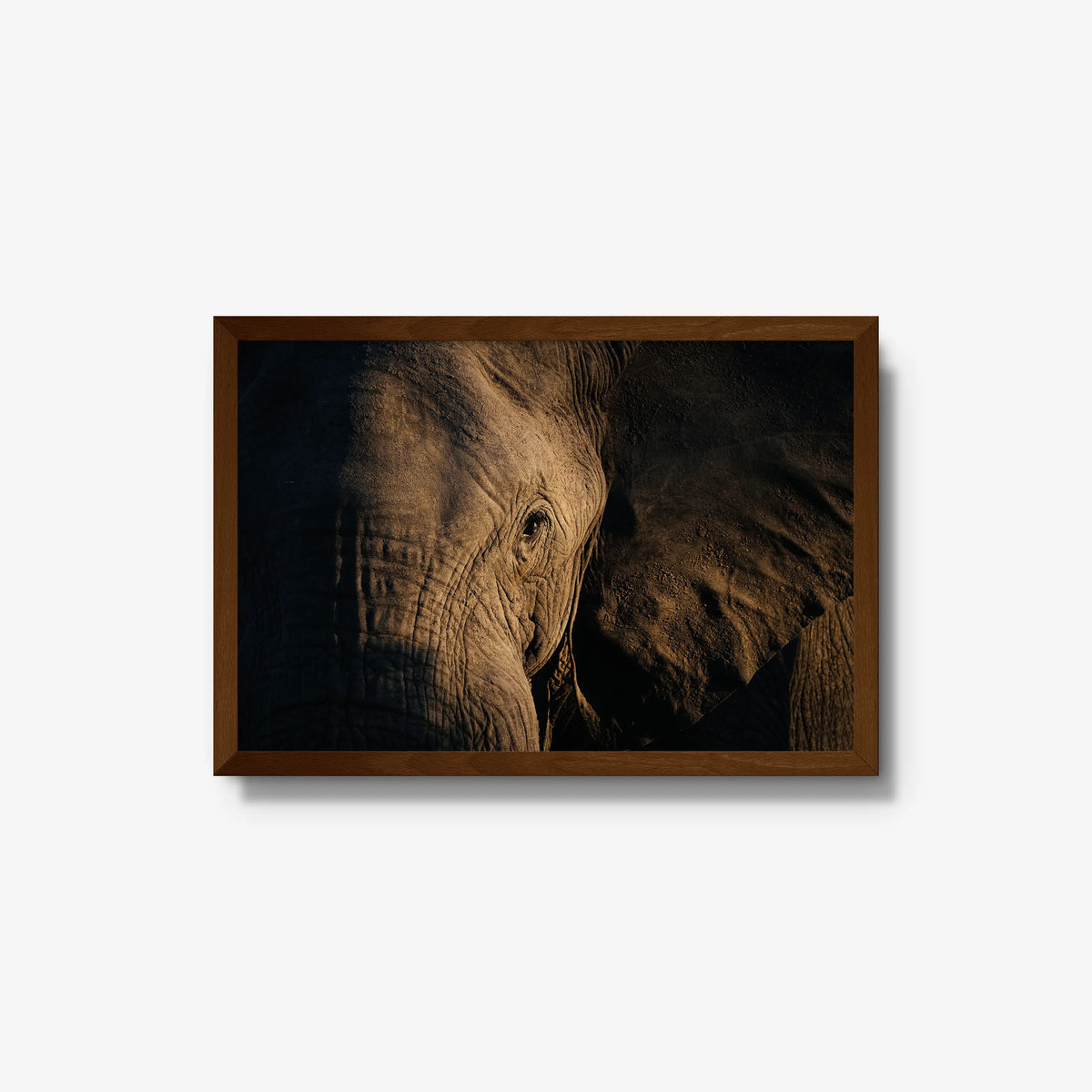 Etched — medium / brown / full