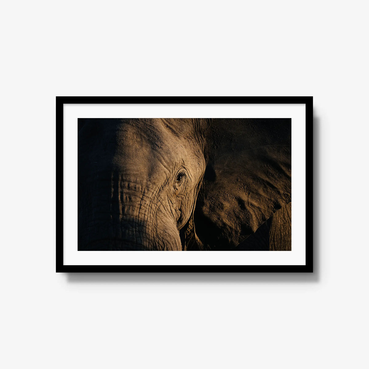 Etched — large / black / mat