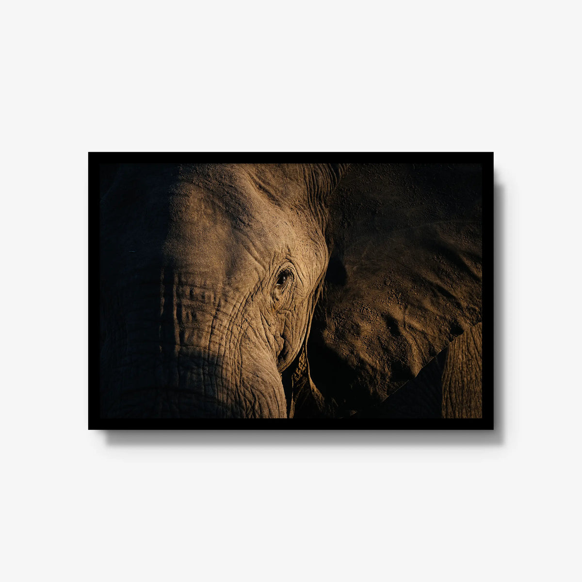 Etched — large / black / full