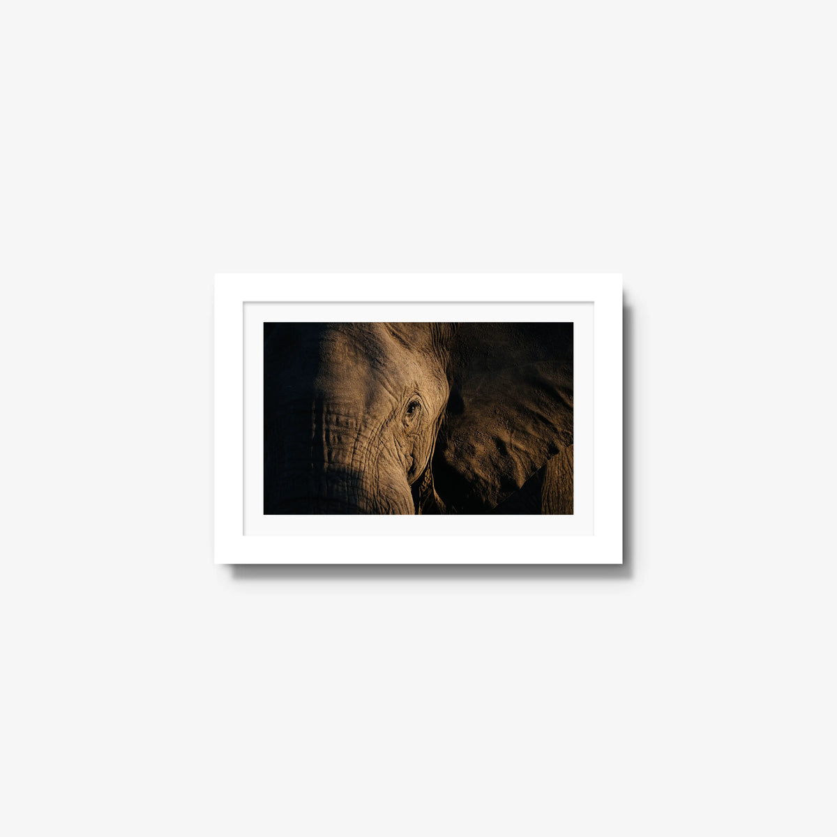Etched — mini / white / mat