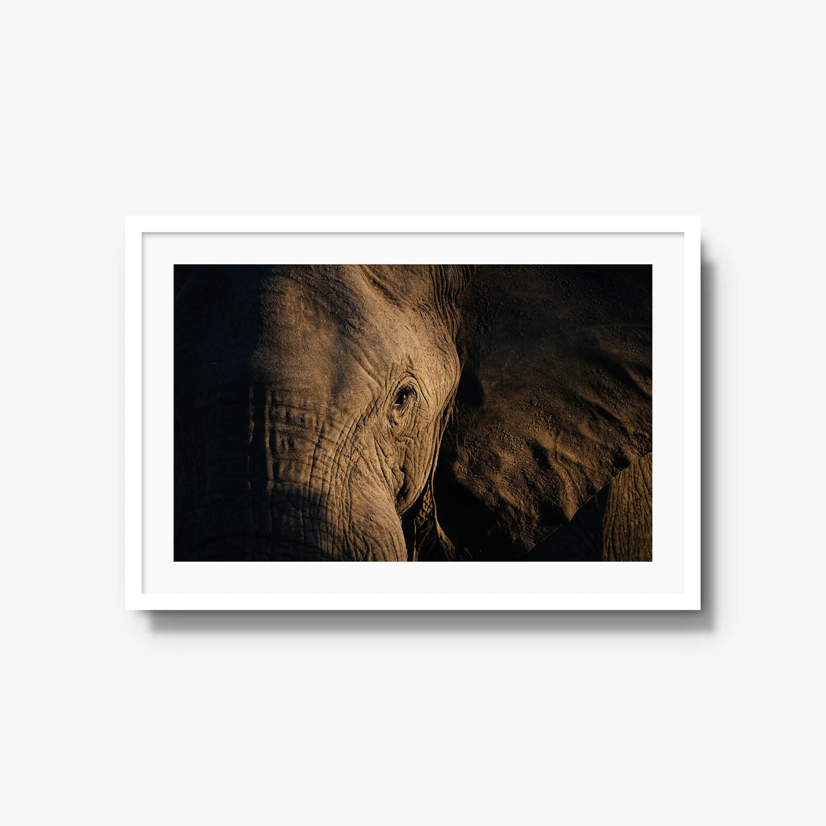 Etched — large / white / mat