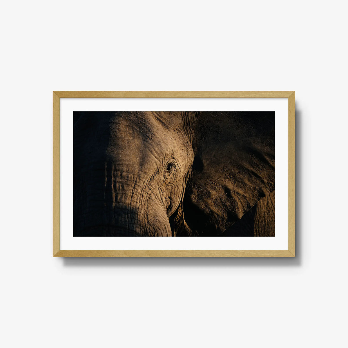 Etched — large / natural / mat