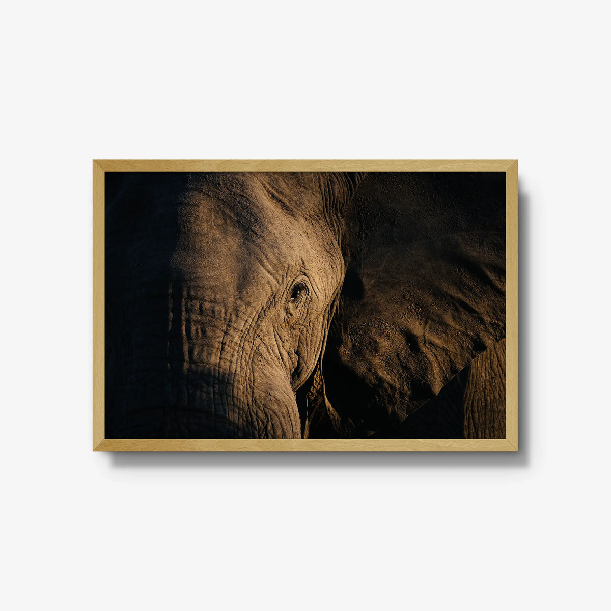 Etched — large / natural / full